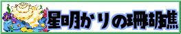 星明かりの珊瑚礁
